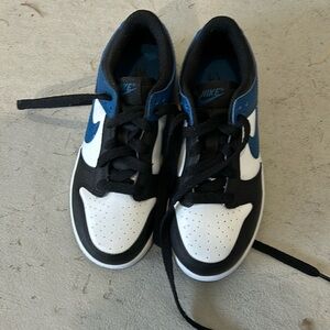 Little Kids Nike Dunks